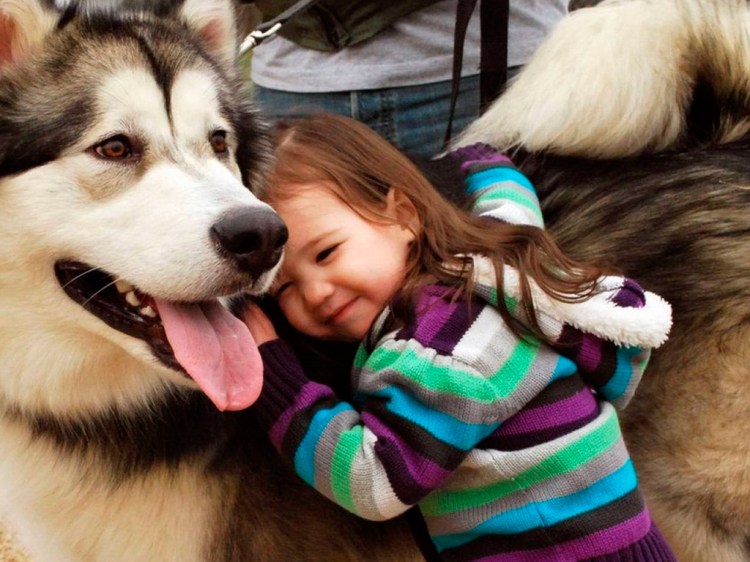 Mascotas compartidas: Encontrar un segundo cuidador